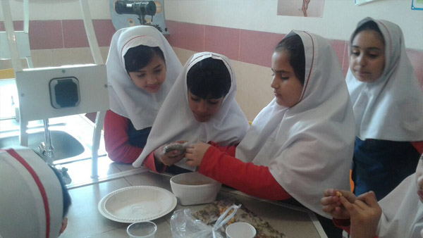 فعالیت‌های کلاسی دی ماه 95-96