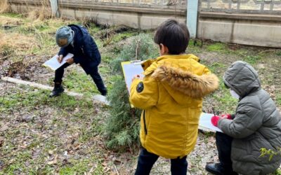 محققان کوچک – دبستان پسرانه