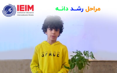 مراحل رشد دانه – دبستان پسرانه