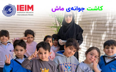 کاشت جوانه‌ی ماش – پیش‌دبستانی