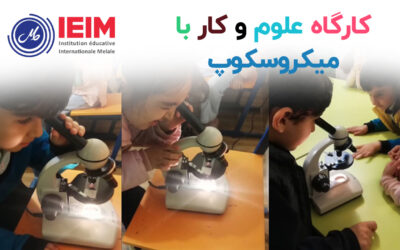 کار با میکروسکوپ – پیش‌دبستانی ملل