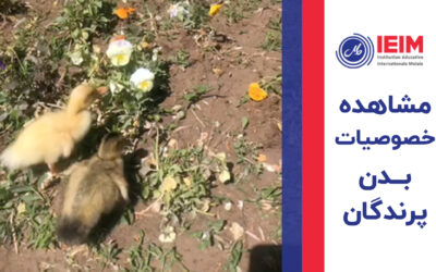 مشاهده خصوصیات بدن پرندگان – دبستان دخترانه