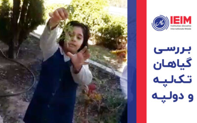 بررسی گیاهان تک‌لپه و دولپه – دبستان دخترانه