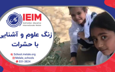 زنگ علوم و طبقه‌بندی حشرات مختلف – دبستان دخترانه ملل