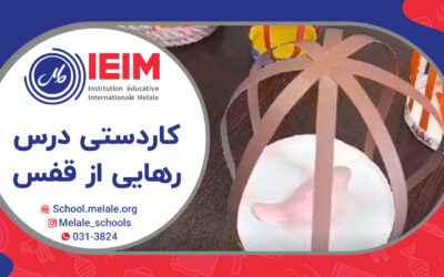 کاردستی زیبای پسرهای گل دبستان ملل برای درس رهایی از قفس – داستان طوطی و بازرگان – دبستان پسرانه ملل