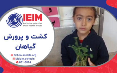 کشت و پرورش دانه‌ی گیاهان – دبستان دخترانه ملل