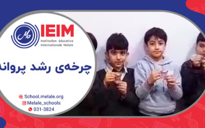 چرخه‌ی رشد پروانه به روایت تصویر – دبستان پسرانه ملل