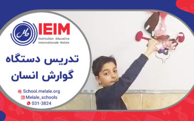 تدریس دستگاه گوارش انسان توسط دانش‌آموزان – دبستان پسرانه ملل