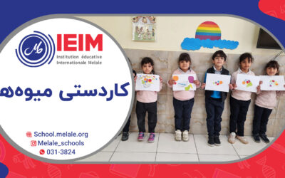 تهیه‌ی کاردستی با موضوع میوه‌ها – پیش‌دبستانی ملل