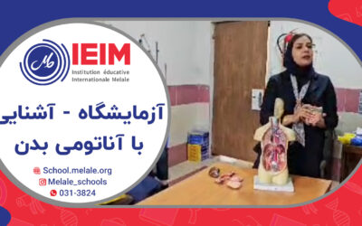 آشنایی با آناتومی بدن انسان – دبستان دخترانه ملل