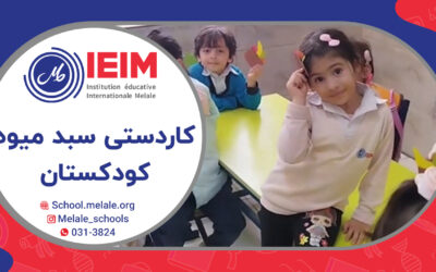 تهیه کاردستی سبد میوه – پیش‌دبستانی ملل