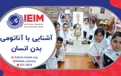 به وقت علوم و آشنایی با آناتومی بدن انسان – دبستان دخترانه ملل